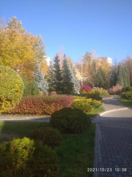 Чем сегодня занимались - IMG_20211023_103830.jpg