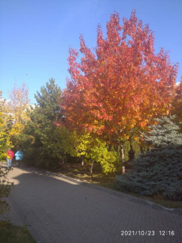 Чем сегодня занимались - IMG_20211023_121625_1.jpg