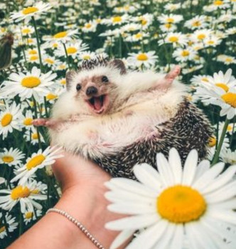 А у вас сейчас какое настроение? - IMG_20211023_202205.jpg