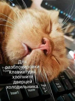 Из ВКонтактика с приветиком  - IMG_20211004_222259.jpg