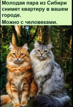 Из ВКонтактика с приветиком  - IMG_20210925_232939.jpg