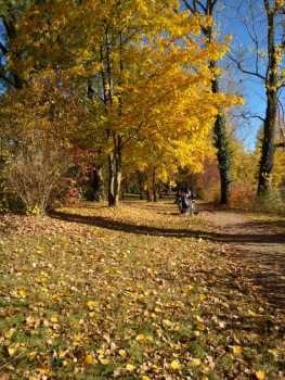 Доброго утра Хорошего дня Спокойной ночи  - IMG_20181107_143104.jpg