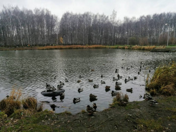 Чем сегодня занимались - IMG_20211027_153303~2.jpg