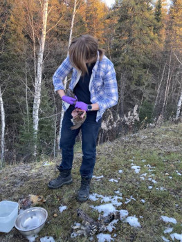 Чем сегодня занимались - IMG_9943.jpg