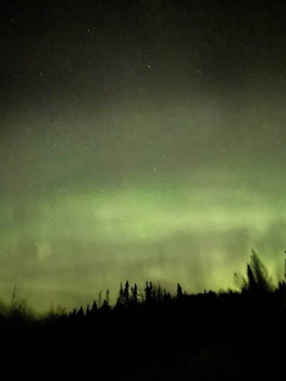 ВСЁ обо ВСЁМ или наши флудилки - 2 - aviary-image-1636113365570.jpeg