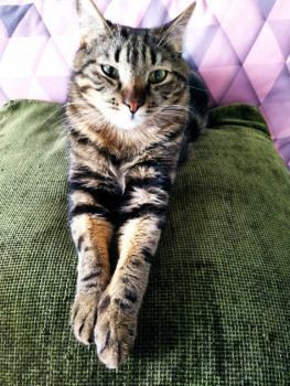 Кого из животных вы содержите? Фото приветствуется. - IMG_20211105_111451.jpg