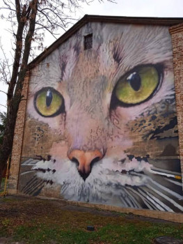 Посмотри .. стрит-арт - FB_IMG_1636283195489.jpg