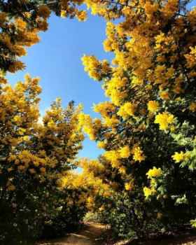 Covid-19 - mQexvNleZw0.jpg