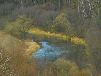 Поговорим о погоде - DSCN9438.JPG