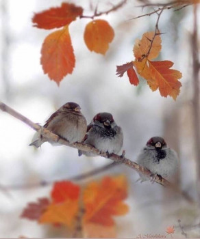 Доброго утра Хорошего дня Спокойной ночи  - IMG_20211110_123218.jpg