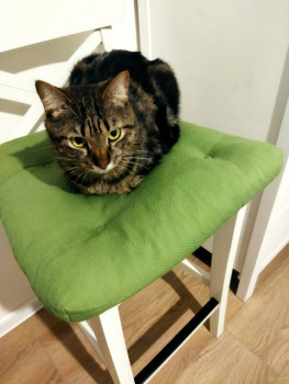 Кого из животных вы содержите? Фото приветствуется. - IMG_20211116_210243.jpg