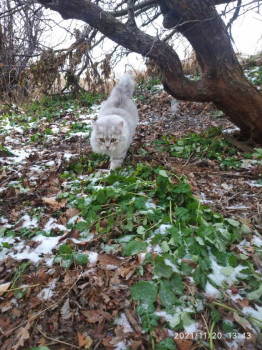 Чем сегодня занимались - IMG_20211120_134326.jpg