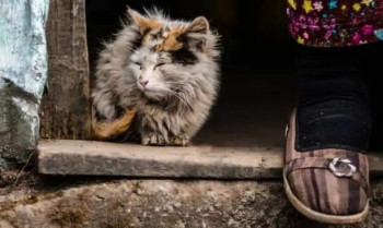 Короткие рассказики - FB_IMG_1637579145910.jpg