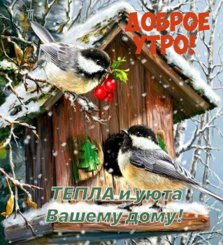 Доброго утра Хорошего дня Спокойной ночи  - IMG-20211206-WA0000.jpg