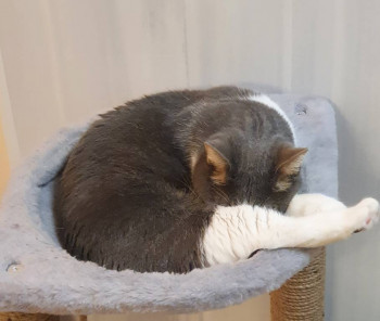 Wildberries и не только. Маркетплейсы здесь - 20211202_201830.jpg