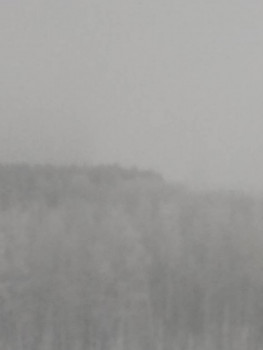 ВСЁ обо ВСЁМ или наши флудилки - 2 - IMG_20211212_104907.jpg