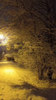 О настоящих мужчинах - GsWlhiCuYOU.jpg