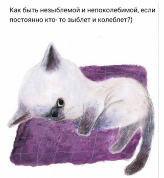 Из ВКонтактика с приветиком  - IMG_20210213_214204.jpg