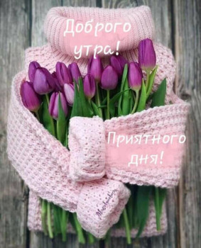 Доброго утра Хорошего дня Спокойной ночи  - IMG-20211227-WA0001.jpg