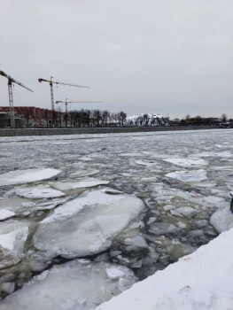 Чем сегодня занимались - IMG_20220103_140559.jpg