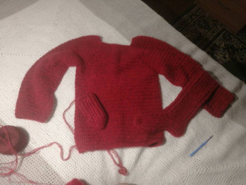 Фотоотчеты и планы Рукодельного марафона - IMG_2022_01_11_18_08_27_8111600968546187499158.jpg