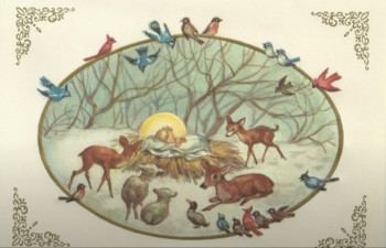 Доброго утра Хорошего дня Спокойной ночи  - IMG_20220112_143359.jpg