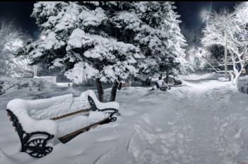 Поговорим о погоде - IMG_20220115_131234.jpg