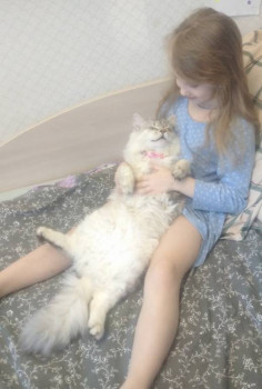 Клуб фелинологов-любителей  - IMG_20220117_160251.jpg