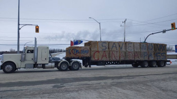 ВСЁ обо ВСЁМ или наши флудилки - 2 - 20220126_112041.jpg