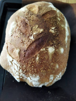 Чем сегодня занимались - IMG_20220131_113249.jpg