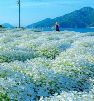 Поэзия - IMG_20220211_203031.jpg