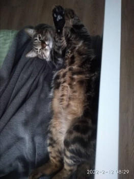 Рукодельная флудилка - IMG_20220212_200102_208.jpg