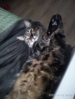 Рукодельная флудилка - IMG_20220212_200048_385.jpg