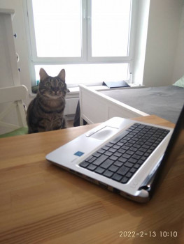 Клуб фелинологов-любителей  - IMG_20220213_101052.jpg