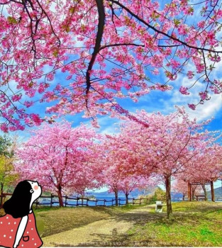 Доброго утра Хорошего дня Спокойной ночи  - IMG_20220223_113307.jpg