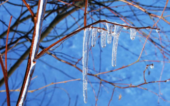 Доброго утра Хорошего дня Спокойной ночи  - width.jpg