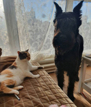 Клуб фелинологов-любителей  - 20220302_100411.jpg