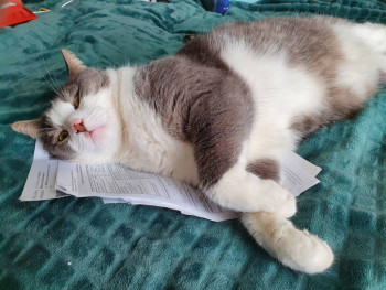 Клуб фелинологов-любителей  - 20220221_134656.jpg