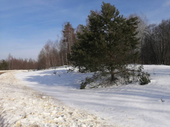 Чем сегодня занимались - IMG_20220306_103354.jpg