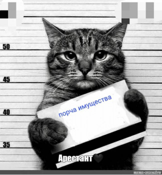 Клуб фелинологов-любителей  - IMG_20220324_190711.jpg