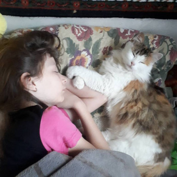 а в это время мои девочки спят