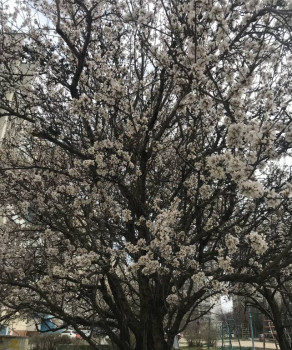 Поговорим о погоде - 2503BF06-AF6D-465A-8C79-49AA37FF9132.jpeg