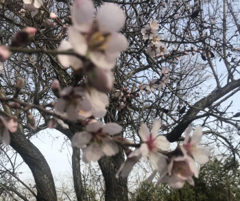 Поговорим о погоде - A99B83E4-B395-46F3-A700-B874E36C1492.jpeg