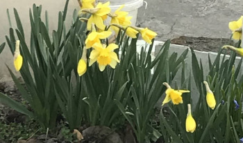 Поговорим о погоде - 4AA96933-DBDC-44BD-8DA4-8CBC864C46AA.jpeg