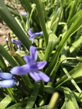 Поговорим о погоде - 548F271A-911F-4E6A-BADB-33802325A44D.jpeg