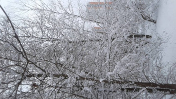 Поговорим о погоде - 20220403_090744.jpg