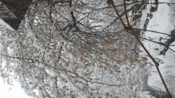 Поговорим о погоде - 20220403_093929.jpg