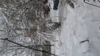 Поговорим о погоде - 20220403_124519.jpg