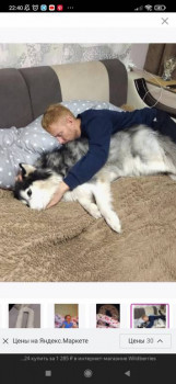 Wildberries и не только. Маркетплейсы здесь - Screenshot_2022-04-04-22-40-37-255_com.yandex.browser.jpg