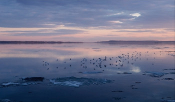 Чем сегодня занимались - IMG_20220410_222307.jpg